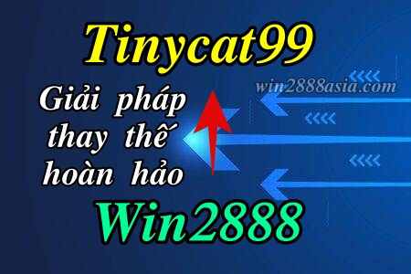 Win2888 sập? Cách vào Win2888 bằng Tinycat99 thay thế trong phốt nhà cái