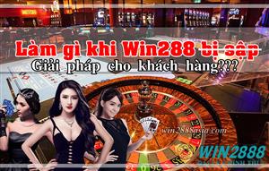 Win2888 Sập? Win2888 Mới là Tinycat99 Thay Thế Đúng Không?