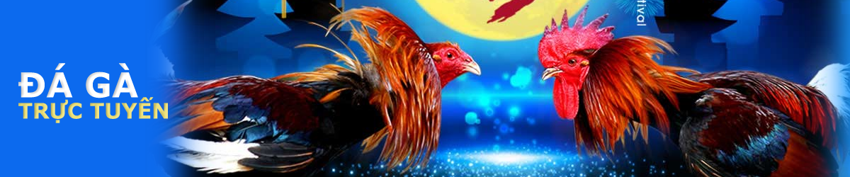 Cách chơi và cách chọn nhà cái đá gà win2888 uy tín nhất - 2