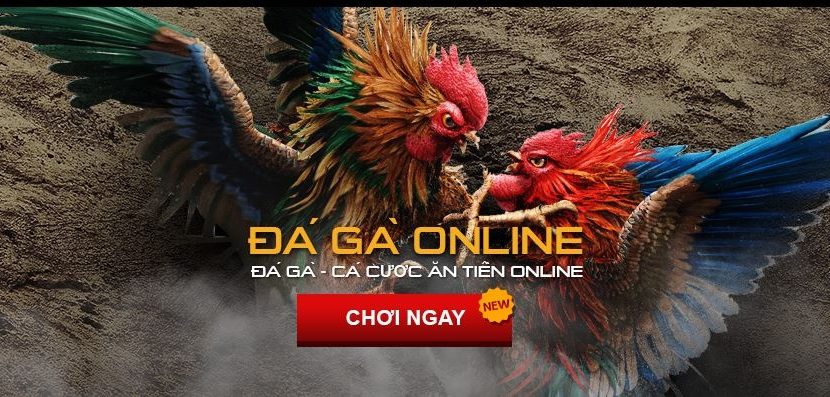 Cách chơi và cách chọn nhà cái đá gà win2888 uy tín nhất - 3